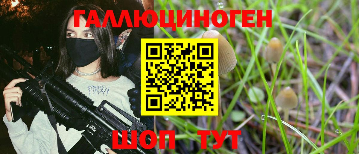 купить наркоту  Галлюциногенные грибы Psilocybe  Вход с VPN  Набережные Челны 